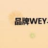 品牌WEY與全息虛擬助手建立了跨界