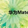 華為Mate 50外形被曝（華為mate）